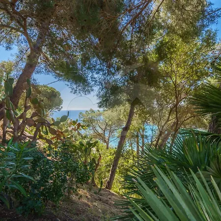 Casa Dell'asino - Goelba Apartament