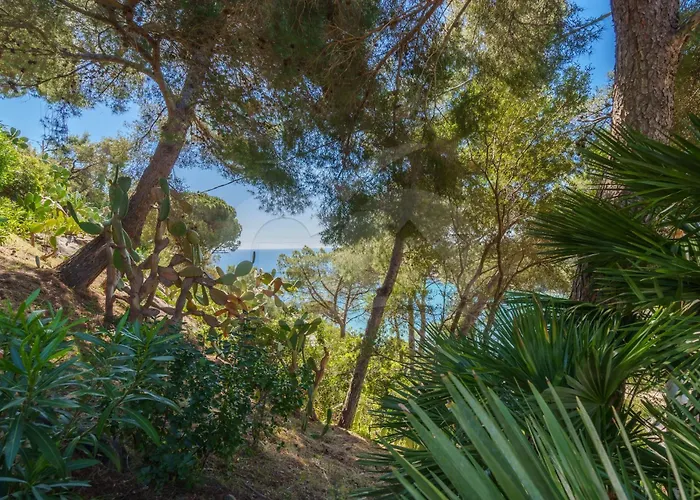 Casa Dell'asino - Goelba Διαμέρισμα